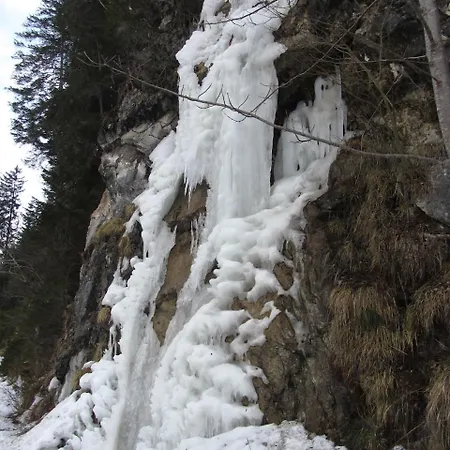 Sonne 宾馆 Häselgehr